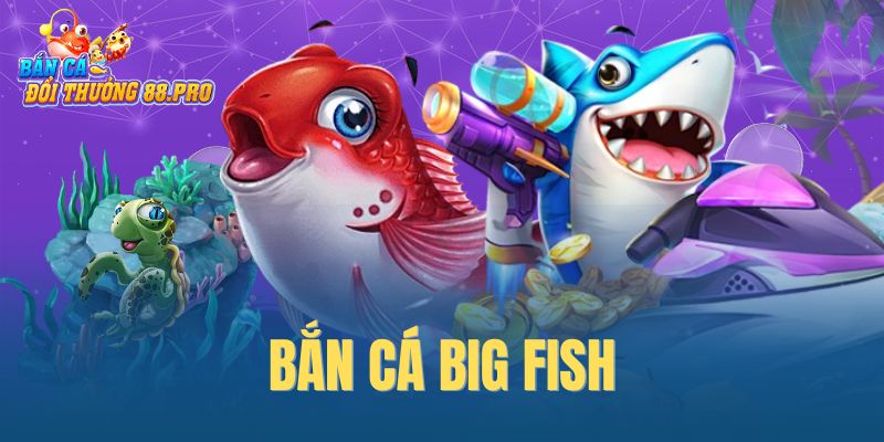 Bắn cá Big Fish