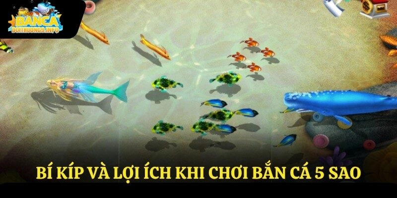 Bí kíp và lợi ích khi chơi bắn cá 5 sao
