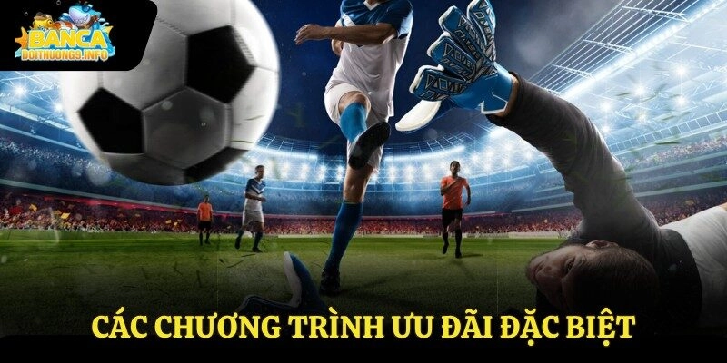 Các chương trình ưu đãi đặc biệt 