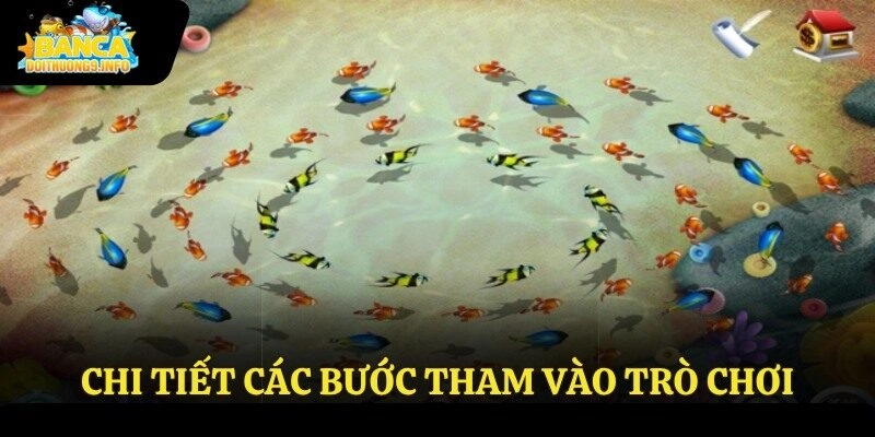 Chi tiết các bước tham vào trò chơi