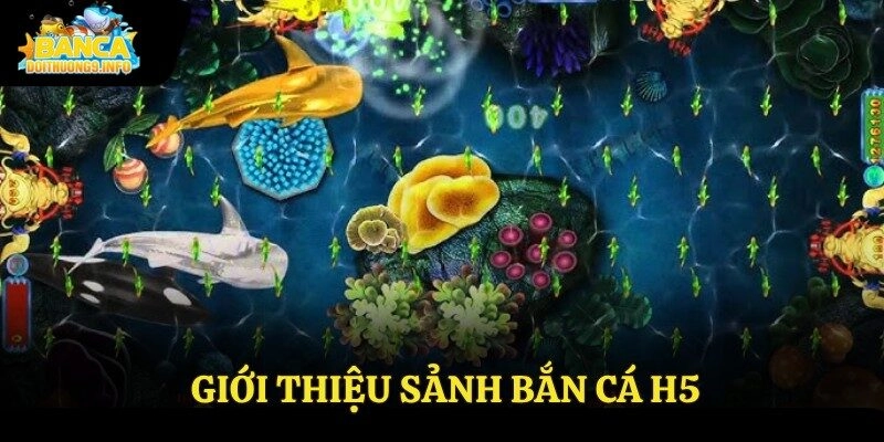 Giới thiệu sảnh Bắn cá H5