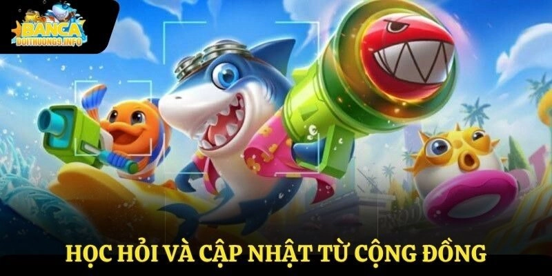 Học hỏi và cập nhật từ cộng đồng