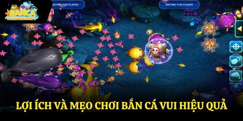 Lợi ích và mẹo chơi bắn cá vui hiệu quả 