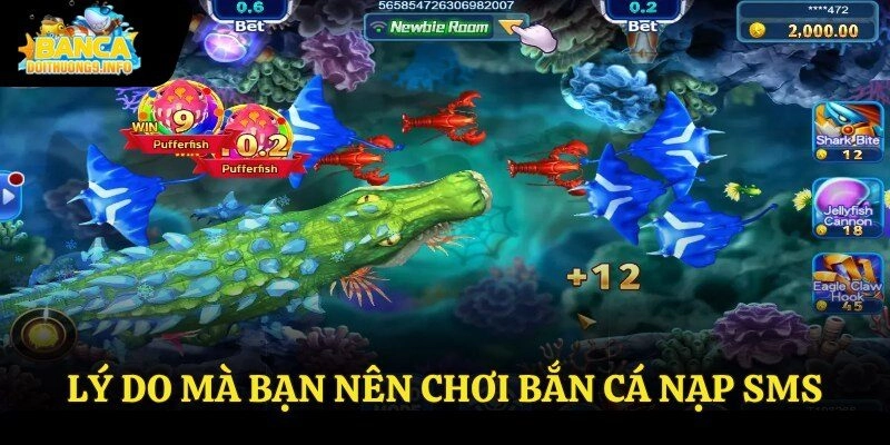 Lý do mà bạn nên chơi bắn cá nạp sms