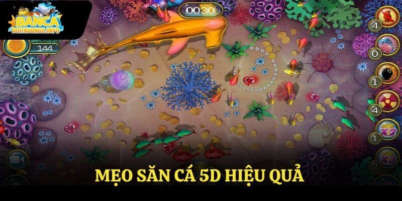 Mẹo săn cá 5D hiệu quả 
