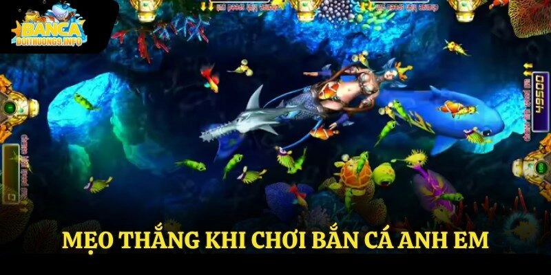 Mẹo thắng khi chơi bắn cá anh em