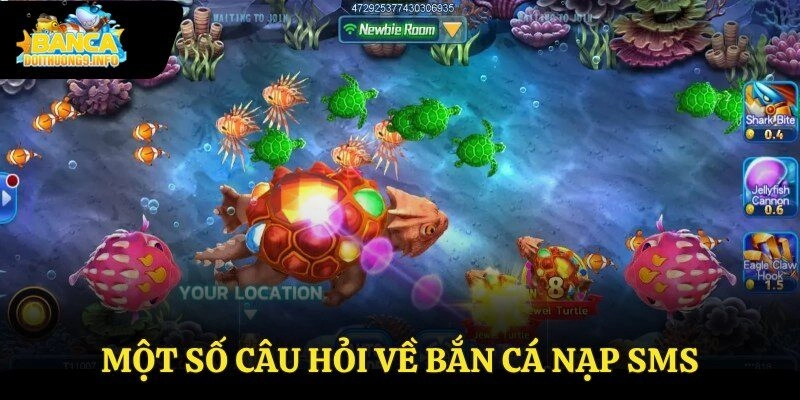 Một số câu hỏi về bắn cá nạp sms