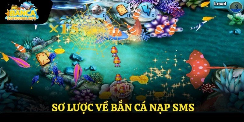 Sơ lược về bắn cá nạp sms