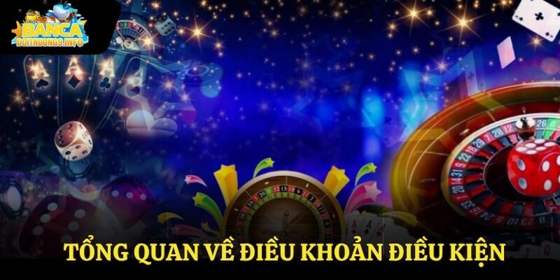 Tổng quan về điều khoản điều kiện
