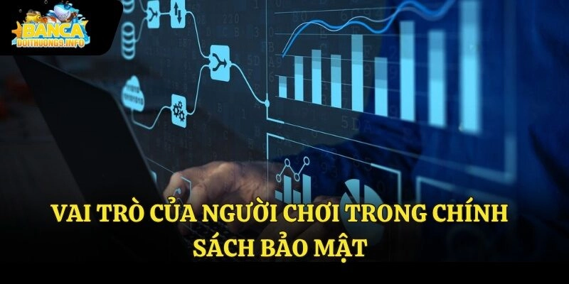 Vai trò của người chơi trong chính sách bảo mật